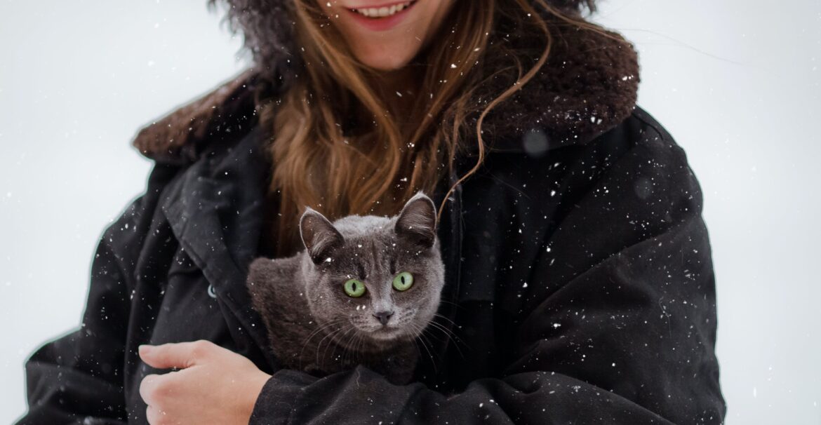 winter care for outdoor cats