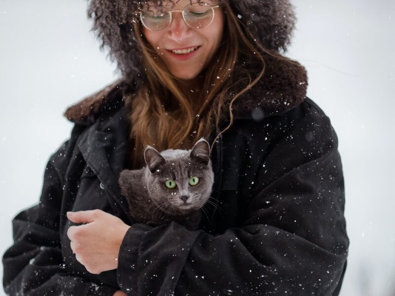 winter care for outdoor cats